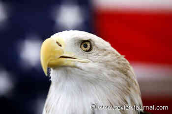 Biden signs a bill officially making the bald eagle the national bird of the US