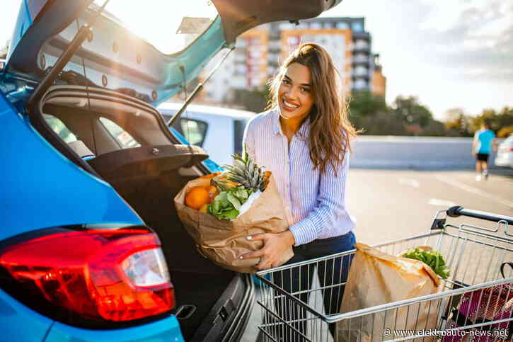 Diese 5 Typen von E-Auto-Fahrern gibt es