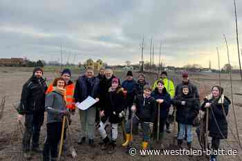 Sträucher und Bäume sollen Wehdemer Abenteuerspielplatz verschönern