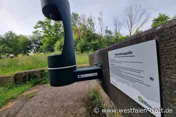 Warburg: Statt Heilwasser gibt es im Germeter Kurpark nur Kraneberger