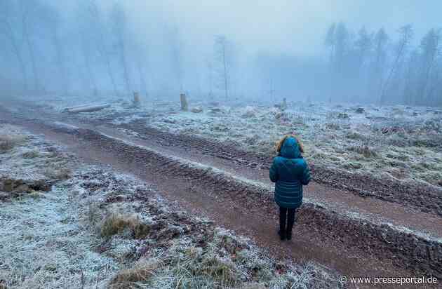 Hightech im Ohr bei Kälte, Frost und Schnee: Tipps für den Winterspaziergang mit Hörsystem