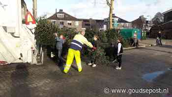 Kerstboom inleveren? Hier kun je terecht
