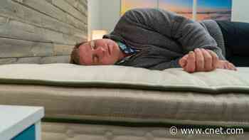 Best Organic Mattress of 2024