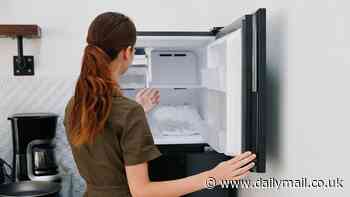 You've been organising your freezer wrong! Experts reveal exactly how you should arrange foods to save space and prevent waste