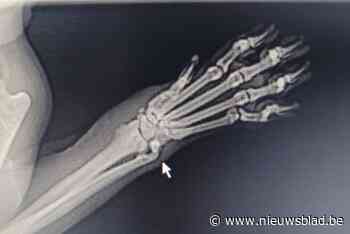 Kat Bruce beschoten met luchtbuks