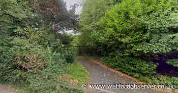 New plans to build homes on 'dilapidated' former nursery site