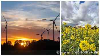Windräder in Schönberg - Segen oder Fluch? So ist der aktuelle Stand
