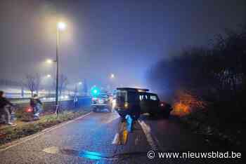 Dodelijk slachtoffer (18) in Mechelen is amazone Haley uit Beringen