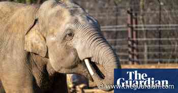 Take a walk on the wild side with the environment quiz of 2024