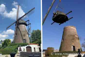 Groen licht voor 50 studentenkoten naast historische molen, ondanks bezwaren: “Dit biedt kansen”