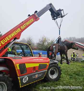 Feuerwehr rettet verunglückte Stute
