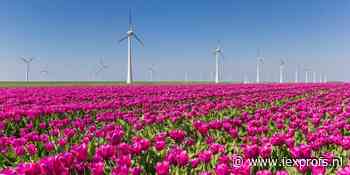 Must read: Valt energietransitie met terugkeer Trump stil?