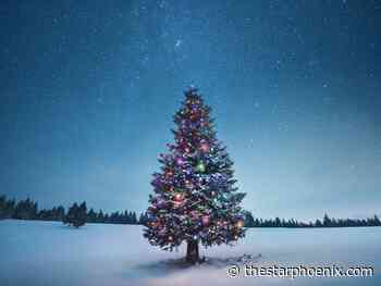 Sending out a hearty Sporting Christmas thank you