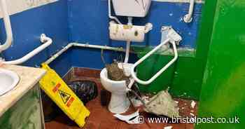 Appeal after disabled toilet smashed up in Bristol park