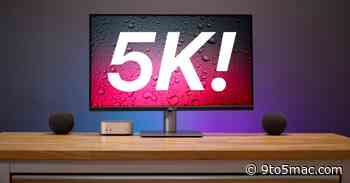 Asus ProArt Display 5K review: An excellent budget-friendly Apple Studio Display alternative [Video]