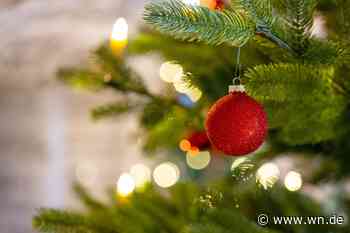 AWM verarbeiten 30.000 Tannen zu Kompost