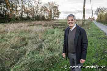 Oppositie blijft hopen op hondenloopweide langs Scherminkelstraat, gemeente zoekt naar andere locatie