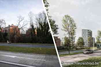 Plannen voor nieuwe appartementen op locatie stadsbos krijgen steun, maar ook kritiek: petitie verzamelde al 200 handtekeningen