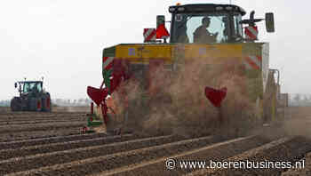 Kostprijs aardappelteelt pleegt trendbreuk