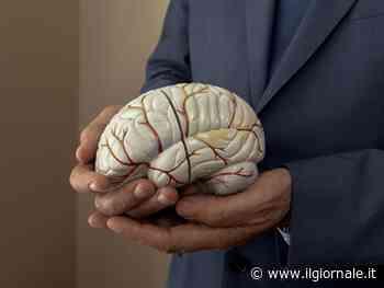 Un trilione di bit al secondo: ecco quanto corre veloce il cervello umano