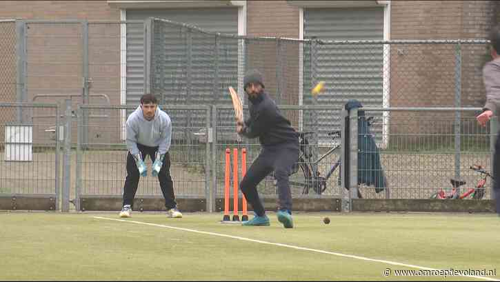 Almere - Cricket is meer dan alleen sport, het is een 'sense of belonging'