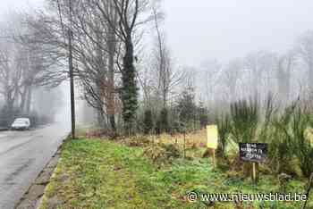 Nieuwe weg en zestien nieuwe woningen aan Peperhofstraat in Driehoeven