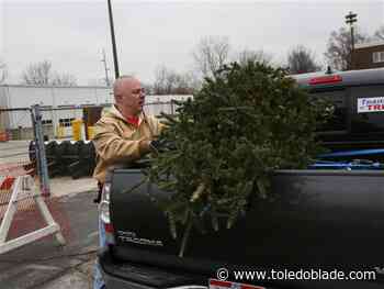 City launches free Christmas tree recycling program
