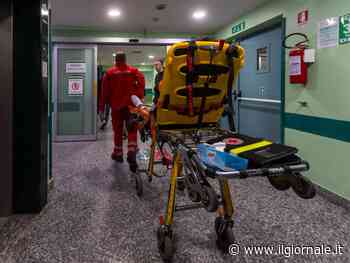 "Virus, malaria e malnutrizione". Scoperta l'origine della "malattia misteriosa" del Con