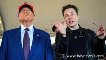 Online debate over foreign workers in tech shows tensions in Trump's political coalition