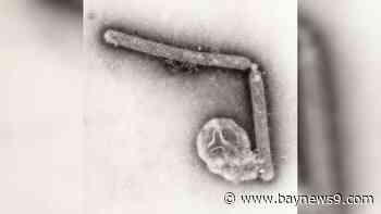 Bird flu virus likely mutated within Louisiana patient, CDC says