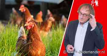 Gelukkig is er dat ene aangename woord: kippengeluksmeter