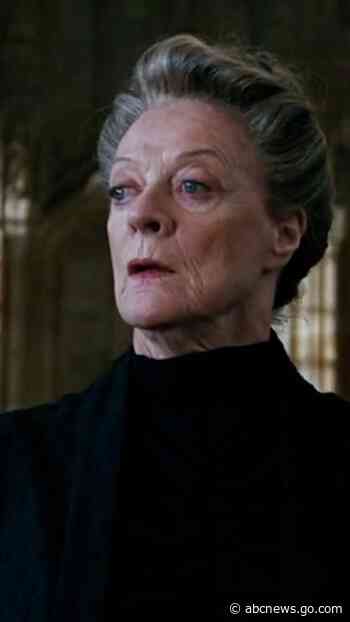 WATCH:   Actors and musicians we said goodbye to in 2024