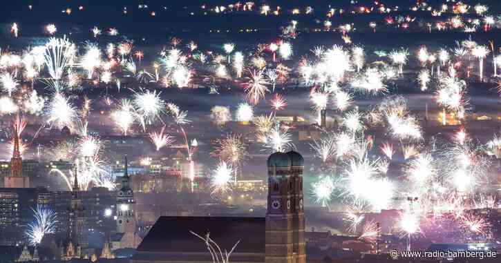 Laute und helle Silvesternacht stört Wildtiere