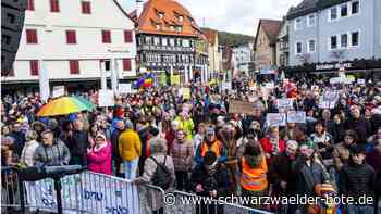 Von Wahlen und   Vandalen: Jahresrückblick 2024 – so war das Jahr in Nagold