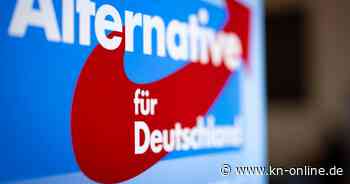 AfD-Politiker sollen sich mit Neonazis getroffen haben