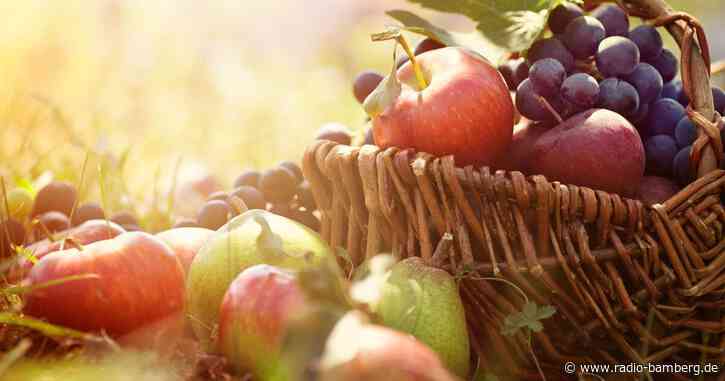 Drei junge Obstbäume bei Kleinsendelbach beschädigt – Polizei sucht Zeugen