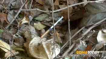 La tossicodipendenza del figlio, la terapia della mamma. Lettera a Villa Maraini: "Dipendenti patologici di secondo grado"