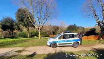 Abusi edilizi nel parco: demolite le strutture illegali