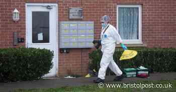 Man faces court on double murder charge after Christmas Day deaths