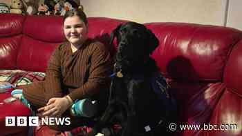 'I don't know what I'd do without Ivanhoe'