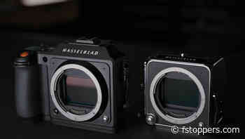 Hasselblad X2D vs. 907X: Which Medium Format Camera Fits Your Style?