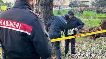 Francesca Ianni uccisa da un albero nel parco: indagato tecnico del comune
