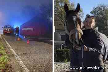 Minuut stilte voor Haley op kerstjumping na dodelijke aanrijding: “Steun doet deugd, maar dat brengt onze dochter niet terug”