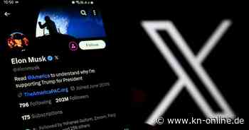 Elon Musk begründet Wahlaufruf für die AfD