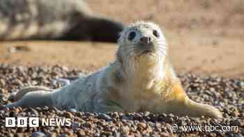 National Trust warns UK's most precious heritage at risk from extreme weather