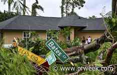 The 5 most-read crisis stories of 2024