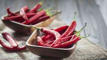 Das schärfste Essen der Welt – diese 5 Gerichte können lebensgefährlich werden