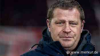 Neuer Torwart: Bedient sich Bayern bei einem Bundesliga-Konkurrenten?