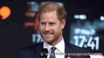 Prinz Harry sichert seinen Lebensunterhalt in feindseliger Umgebung: „Alle hassen ihren Job“