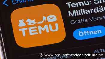 Temu und Shein: So kann sich Europa gegen die Dumping-Händler wehren